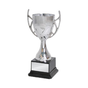 Acrylic Trophy Acrylic Trophy CA1951