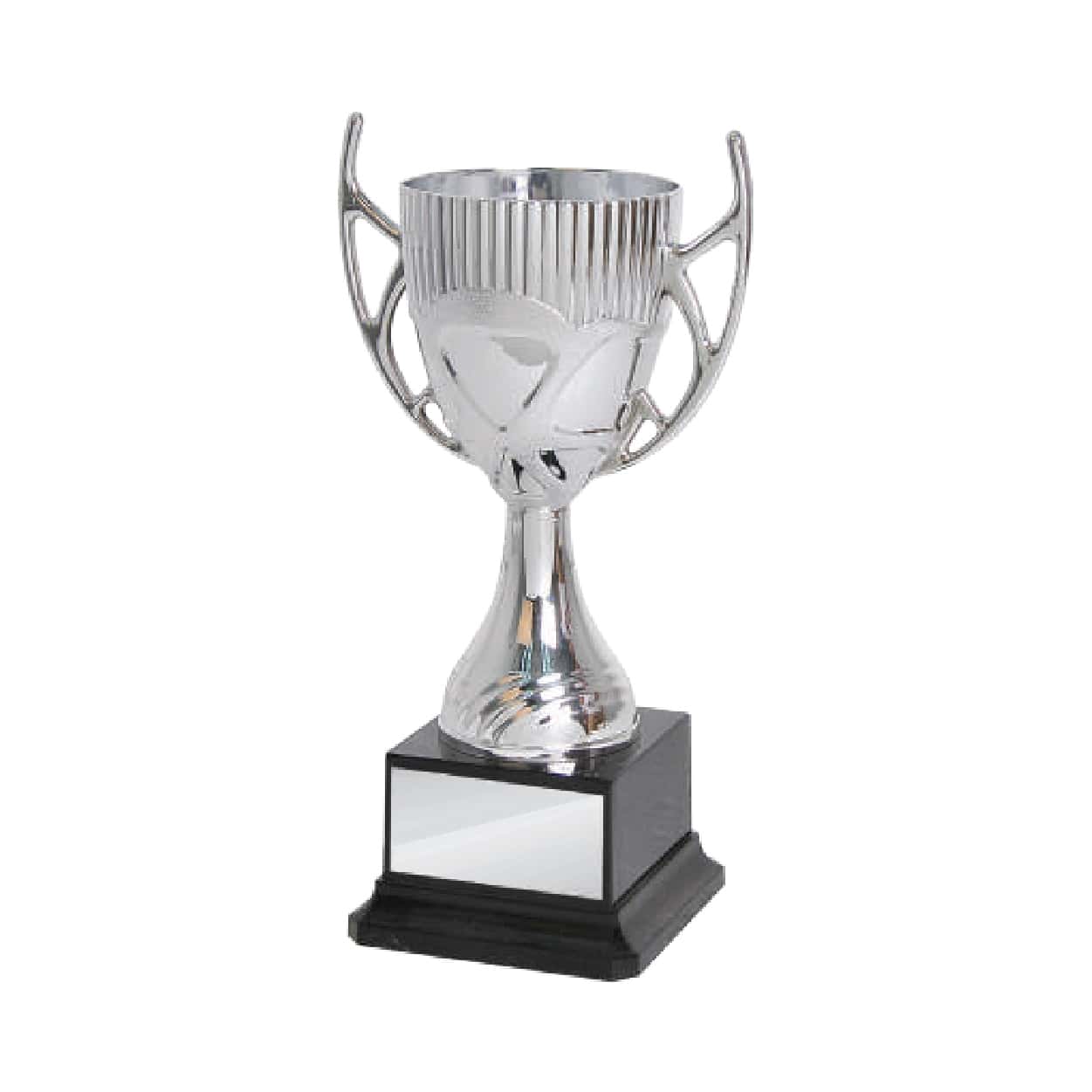 Acrylic Trophy Acrylic Trophy CA1951 Acrylic Trophy Acrylic Trophy CA1951