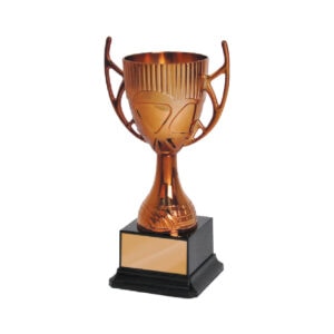 Acrylic Trophy Acrylic Trophy CA1952