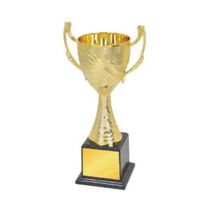 Acrylic Trophy Acrylic Trophy CA1953