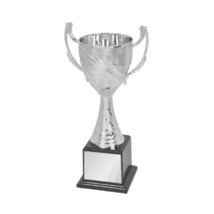 Acrylic Trophy Acrylic Trophy CA1954