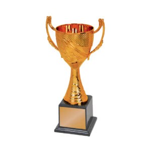 Acrylic Trophy Acrylic Trophy CA1955