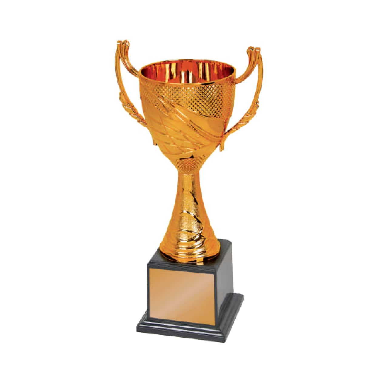 Acrylic Trophy Acrylic Trophy CA1955 Acrylic Trophy Acrylic Trophy CA1955