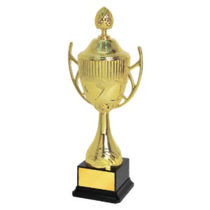 Acrylic Trophy Acrylic Trophy CA1956