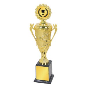 Acrylic Trophy Acrylic Trophy CA1957