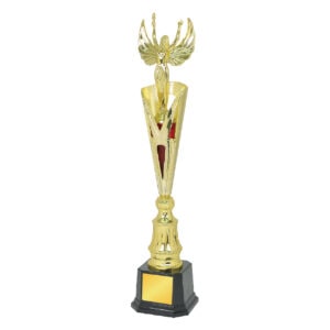 Acrylic Trophy Acrylic Trophy CA1961