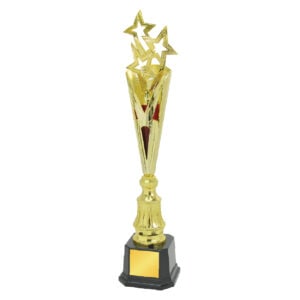 Acrylic Trophy Acrylic Trophy CA1962
