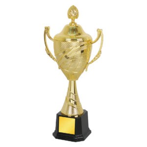Acrylic Trophy Acrylic Trophy CA1963
