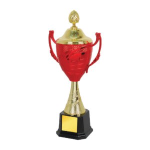 Acrylic Trophy Acrylic Trophy CA1965