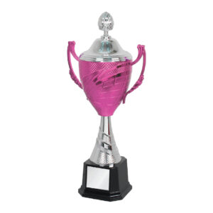 Acrylic Trophy Acrylic Trophy CA1966