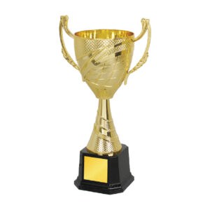 Acrylic Trophy Acrylic Trophy CA1967