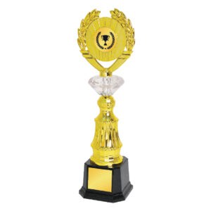 Acrylic Trophy Acrylic Trophy CA1970