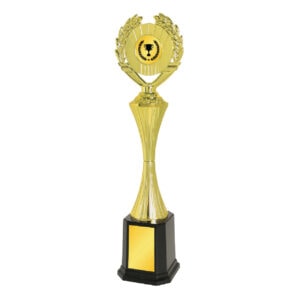 Acrylic Trophy Acrylic Trophy CA1974