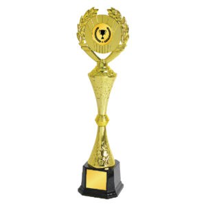 Acrylic Trophy Acrylic Trophy CA1978