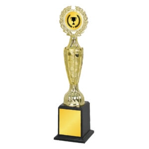 Acrylic Trophy Acrylic Trophy CA1983