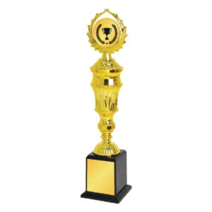Acrylic Trophy Acrylic Trophy CA1985