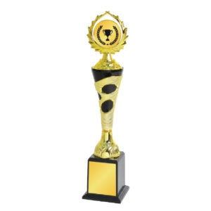 Acrylic Trophy Acrylic Trophy CA1989