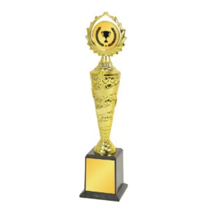 Acrylic Trophy Acrylic Trophy CA1990