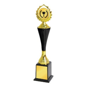 Acrylic Trophy Acrylic Trophy CA1992