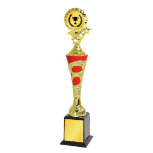 Acrylic Trophy Acrylic Trophy CA1995