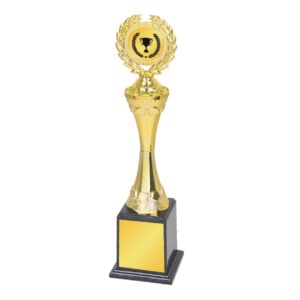 Acrylic Trophy Acrylic Trophy CA2000