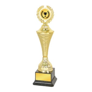 Acrylic Trophy Acrylic Trophy CA2001