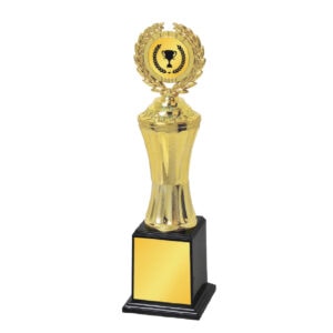 Acrylic Trophy Acrylic Trophy CA2002