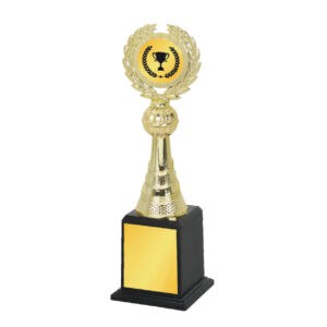 Acrylic Trophy Acrylic Trophy CA2004