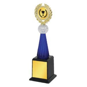 Acrylic Trophy Acrylic Trophy CA2009