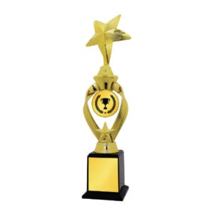Acrylic Trophy Acrylic Trophy CA2010
