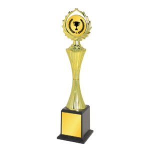 Acrylic Trophy Acrylic Trophy CA2011