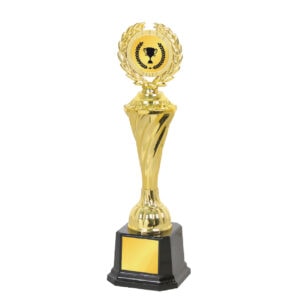 Acrylic Trophy Acrylic Trophy CA2012