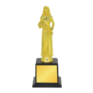 Acrylic Trophy Acrylic Trophy CA2014