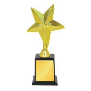 Acrylic Trophy Acrylic Trophy CA2015