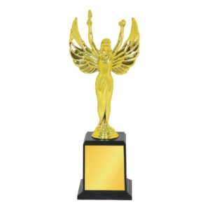 Acrylic Trophy Acrylic Trophy CA2017