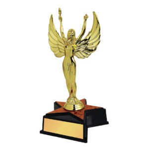 Acrylic Trophy Acrylic Trophy CA2018