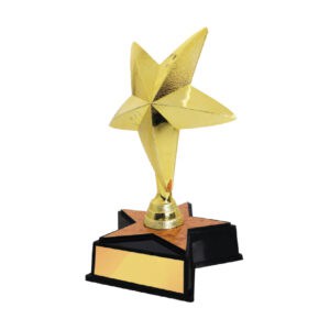 Acrylic Trophy Acrylic Trophy CA2019