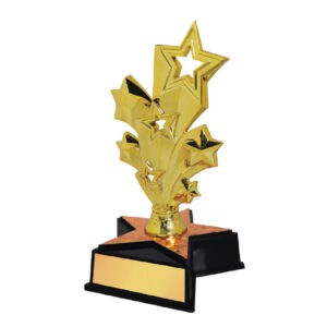 Acrylic Trophy Acrylic Trophy CA2021