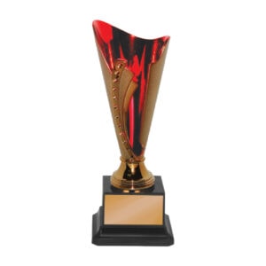 Acrylic Trophy Acrylic Trophy CA2024