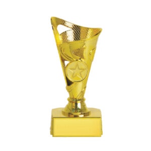 Acrylic Trophy Acrylic Trophy CA2026