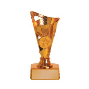 Acrylic Trophy Acrylic Trophy CA2028