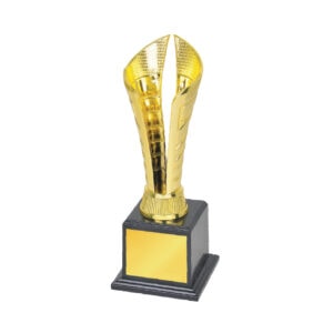Acrylic Trophy Acrylic Trophy CA2036