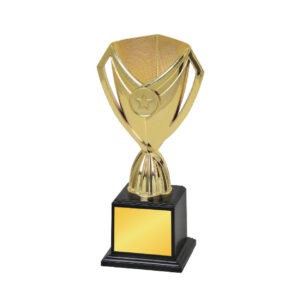 Acrylic Trophy Acrylic Trophy CA2039