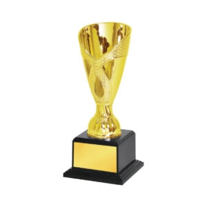 Acrylic Trophy Acrylic Trophy CA2042