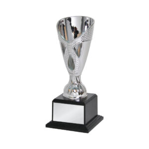 Acrylic Trophy Acrylic Trophy CA2043