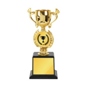 Acrylic Trophy Acrylic Trophy CA2053 Acrylic Trophy Acrylic Trophy CA2053