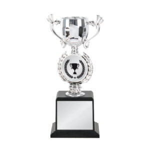 Acrylic Trophy Acrylic Trophy CA2054