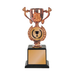 Acrylic Trophy Acrylic Trophy CA2055 Acrylic Trophy Acrylic Trophy CA2055