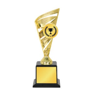 Acrylic Trophy Acrylic Trophy CA2056