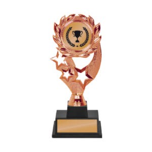 Acrylic Trophy Acrylic Trophy CA2063